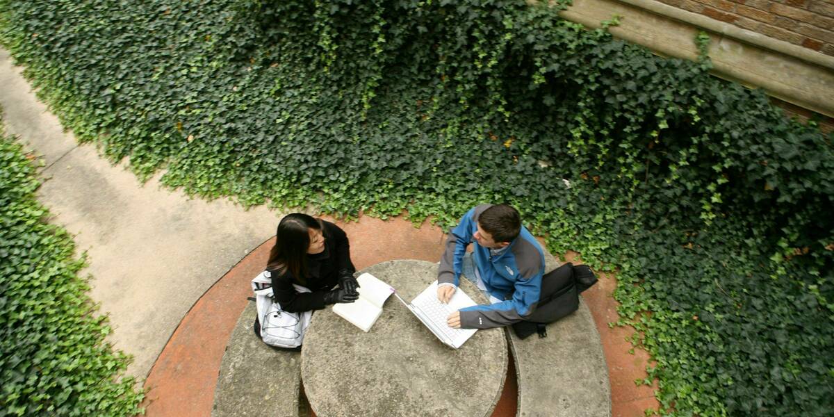 Aerial view of students studying in a courtyard.