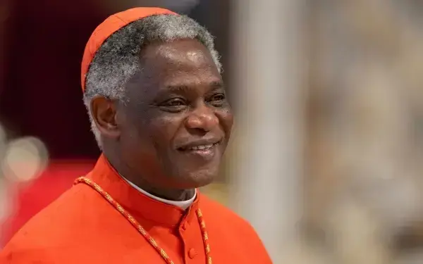 Catholic Leadership, Integral Ecology, and the Call of Laudato Si’